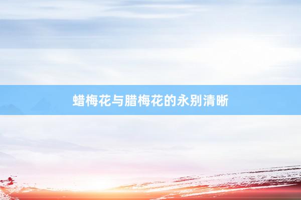 蜡梅花与腊梅花的永别清晰